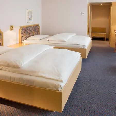 艾瑞克森酒店 酒店 辛德尔芬根