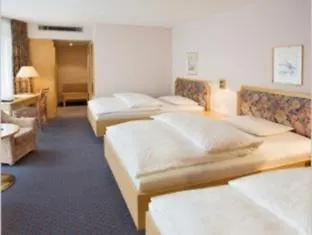 艾瑞克森酒店 辛德尔芬根