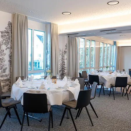 艾瑞克森酒店 辛德尔芬根